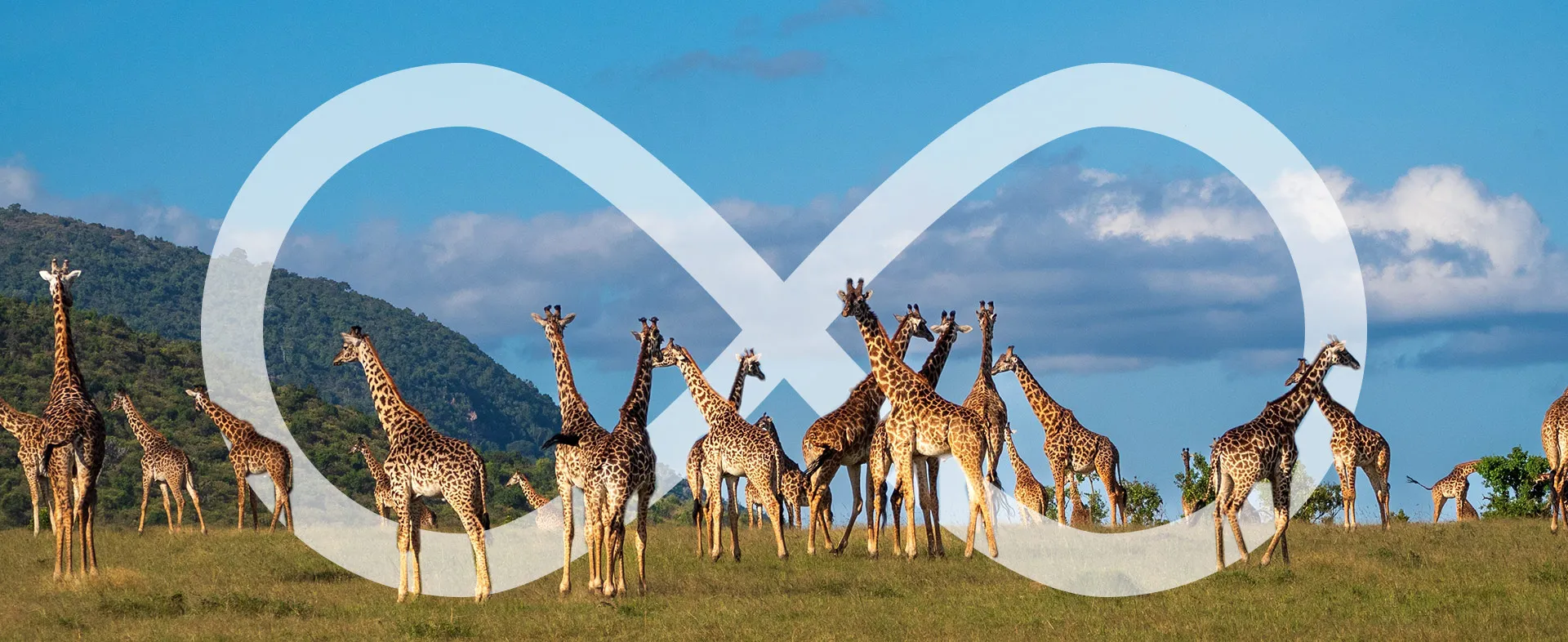 Kenya Banner